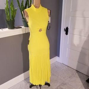 Bebe Gioia Rib Pleated Dress